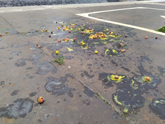 Стадион Авангард - 07.jpg